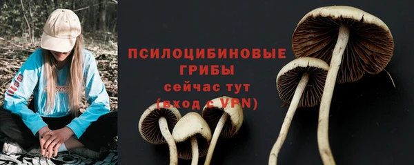 Альфа ПВП Кинешма