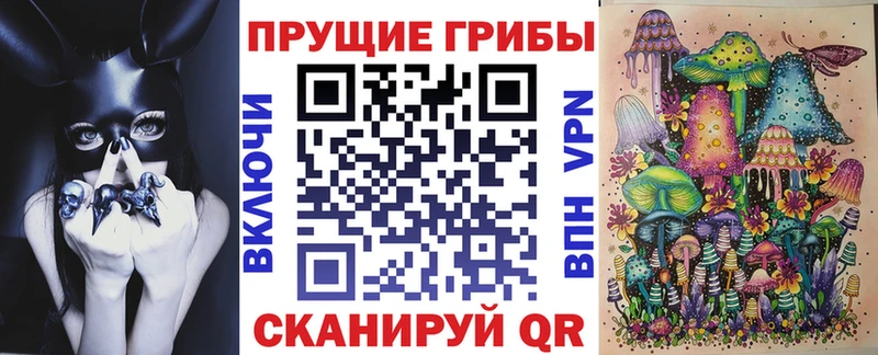 Галлюциногенные грибы Psilocybe Шилка