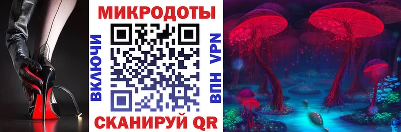 Купить закладки  Шилка  Псилоцибиновые грибы Psilocybe 