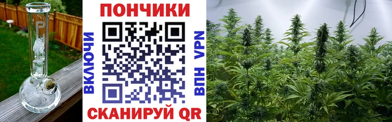 Купить где  Шилка  Марихуана индика 